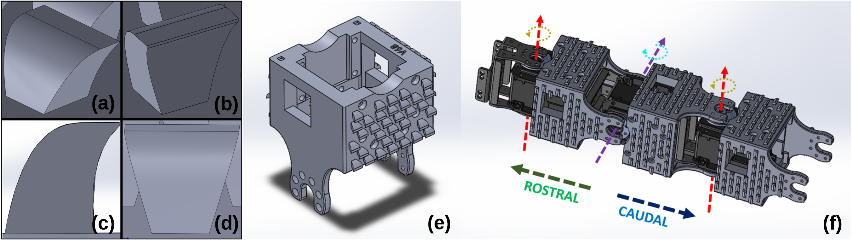 snakey scale chassis